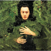 couverture de l'album d'Alain Bashung