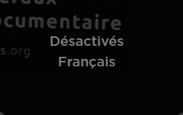 copie d'écran du player avec la mention désactivé et français