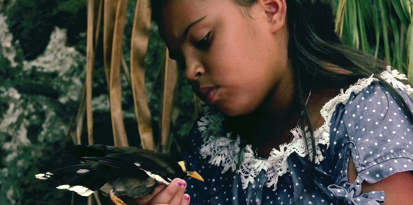 Gros plan sur une petite fille de profil portant un oiseau dans sa main
