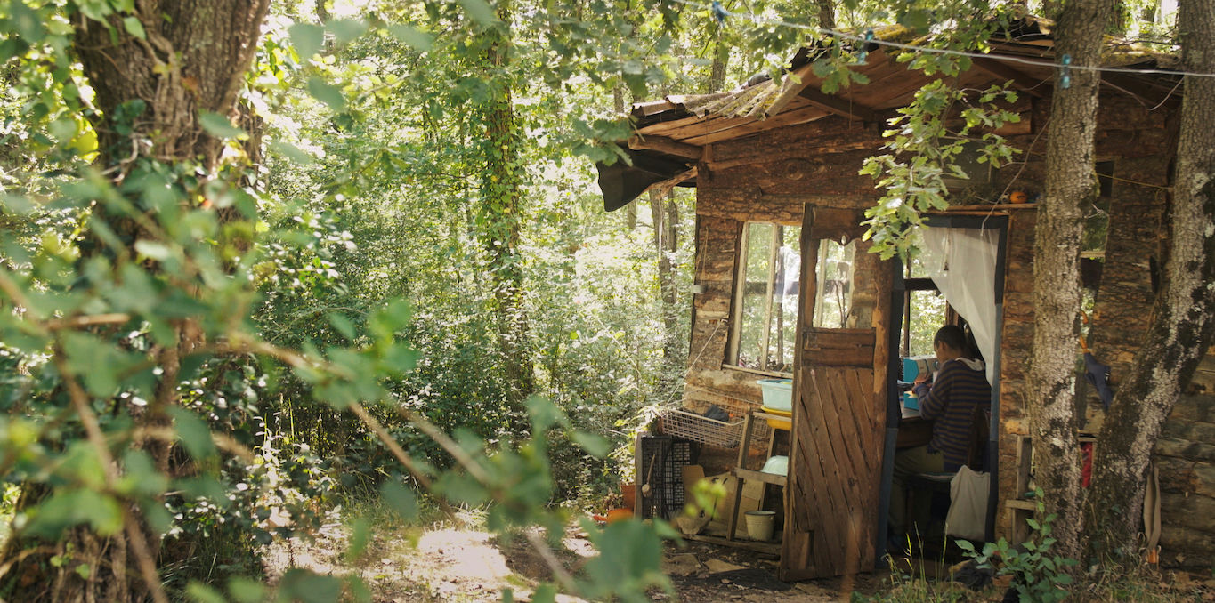 photo d'une cabane en bois dans la forêt abritant une femme