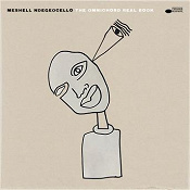 Pochette de l'album de Meshell Ndegeocello