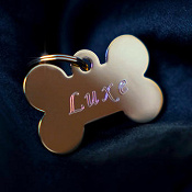 Couverture de l'album d'Ariane Roy