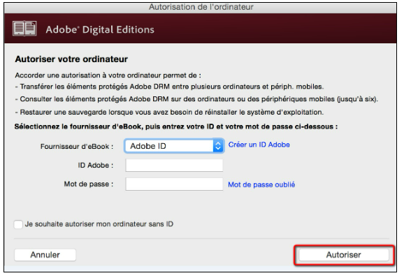 copie d'écran de la page de saisie de l'autorisation