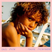 couverture de l'album de Gaël faye