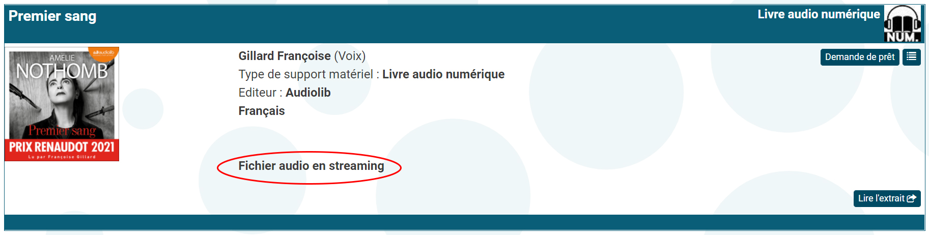 copie d'écran d'un livre audionumérique en streaming