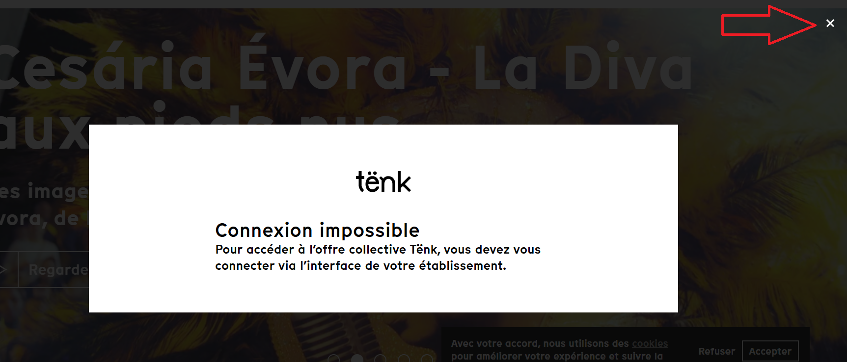 copie d'écran d'un message d'erreur indiquant une absence de connexion au site tenk