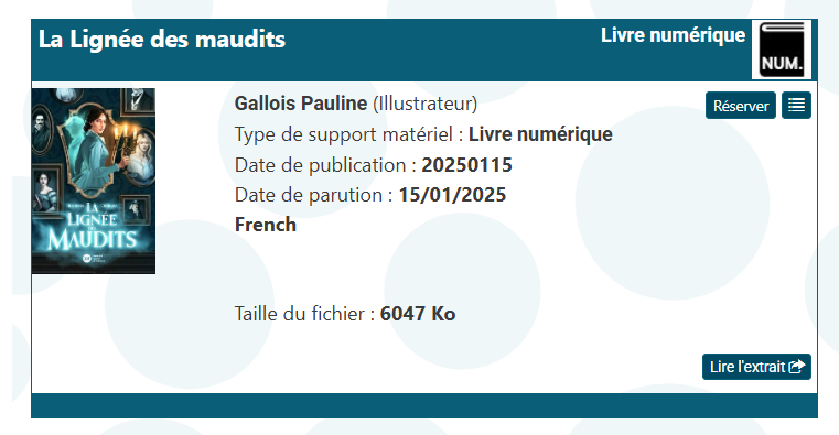 copie d'écran du bouton réserver présent sur un livre numéirque