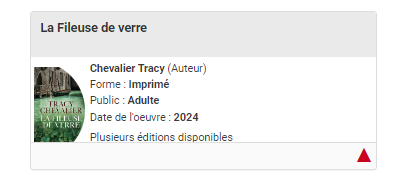 copie d'écran d'un document avec un triangle rouge