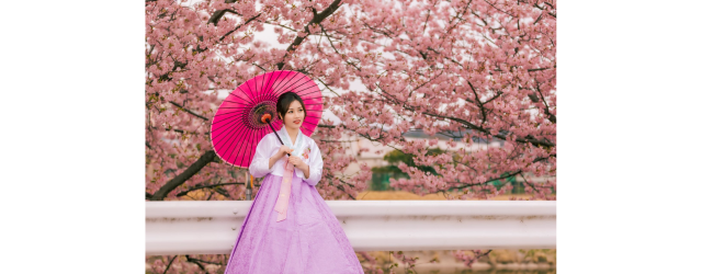 photo d'une femme asiatique sous un cerisier en fleurs portant une tenue traditionnelle coréenne et une ombrelle roses